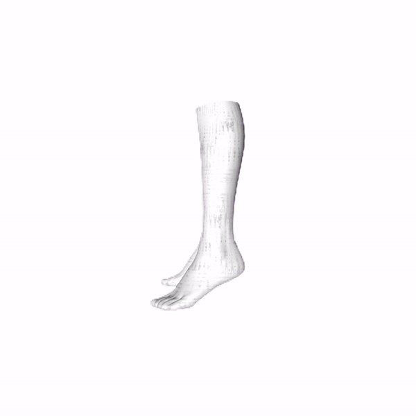 THE BRIDES SOCK